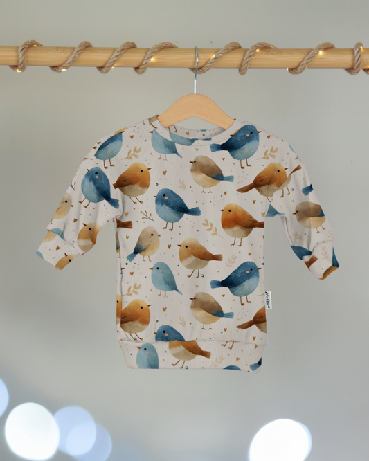 Oversized Sweatshirt - Little Robins
